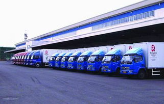 順德樂從至樟溪鎮貨運物流一站式服務 配送、安裝、商檢、報關全流程解析